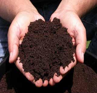 Now the planning of crops like clay mugs! | मातीच्या मगदुरानुसार आता पिकांचे नियोजन!