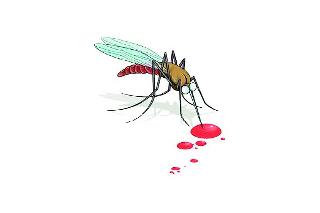 Dengue-infected woman's death | डेंग्यूसदृश आजाराने महिलेचा मृत्यू Dengue-infected woman's death | डेंग्यूसदृश आजाराने महिलेचा मृत्यू