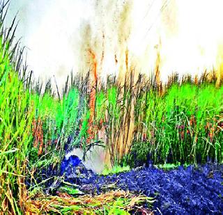 Burn twenty acres of sugarcane | वीस एकर ऊस जळाला