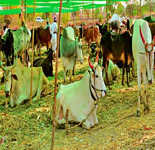 Drought in Maharashtra in the Rajya Sabha | महाराष्ट्रातील दुष्काळ राज्यसभेत