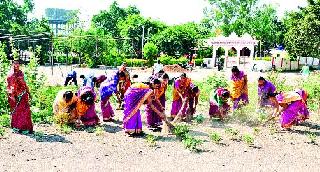 Cleanliness campaign by Sri Swami Samarth Kendra | श्री स्वामी समर्थ केंद्रातर्फे स्वच्छता अभियान