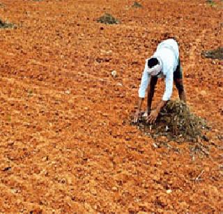 Farmers of Marathwada are in the worst of drought | दुष्काळाच्या दुष्टचक्रात मराठवाड्यातील शेतकरी