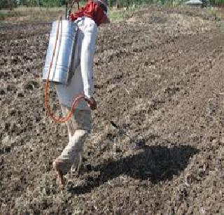 ... finally came to the Agriculture Department | ...अखेर कृषी विभागाला आली जाग ... finally came to the Agriculture Department | ...अखेर कृषी विभागाला आली जाग