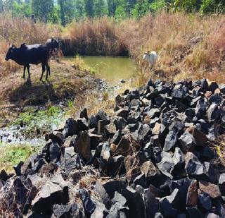 Palghar Corruption: Worker's Elgar | पालघर भ्रष्टाचार : श्रमजीवीचा एल्गार Palghar Corruption: Worker's Elgar | पालघर भ्रष्टाचार : श्रमजीवीचा एल्गार