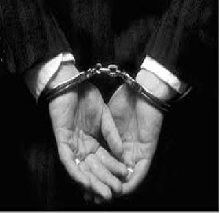 Pig killed: three arrested | डुक्कर मारले: तिघांना अटक Pig killed: three arrested | डुक्कर मारले: तिघांना अटक