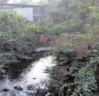 Colloquium farming NPIC by polluted chemicals | प्रदूषित रासायनांनी कोलवडेची शेती नापिक Colloquium farming NPIC by polluted chemicals | प्रदूषित रासायनांनी कोलवडेची शेती नापिक