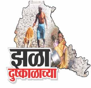 Proposal to ban ferry traffic outside Akola district | अकोला जिल्ह्याबाहेर चारा वाहतुकीस बंदीचा प्रस्ताव Proposal to ban ferry traffic outside Akola district | अकोला जिल्ह्याबाहेर चारा वाहतुकीस बंदीचा प्रस्ताव