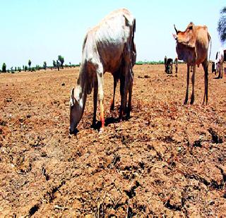 Package of seven thousand crores for drought relief | दुष्काळ निवारणासाठी सात हजार कोटींचे पॅकेज