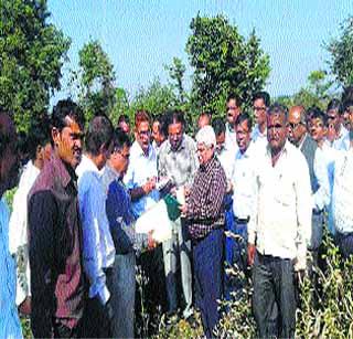 Drought situation inspection by central squad | केंद्रीय पथकाकडून दुष्काळी परिस्थितीची पाहणी