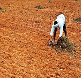 Occupational damages | अवकाळीने शेतपिकांचे नुकसान