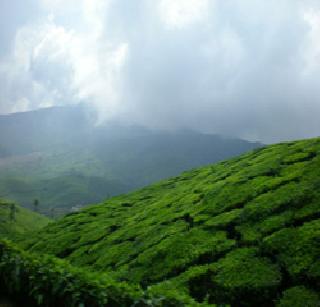 Bhuleshwar fort has fallen | भुलेश्वर गड झाला हिरवागार Bhuleshwar fort has fallen | भुलेश्वर गड झाला हिरवागार