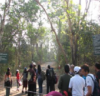 Water in the Karnala Wildlife Sanctuary | कर्नाळा अभयारण्यात पाणी ‘मुरणार’