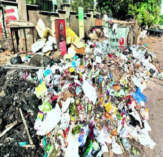 The Metropolitan Pollution | महानगरांचे प्रदूषण जिवावर