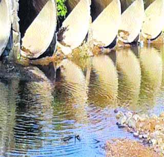 Van Dam's source of financial income! | वान धरण आर्थिक उत्पन्नाचे स्रोत ! Van Dam's source of financial income! | वान धरण आर्थिक उत्पन्नाचे स्रोत !