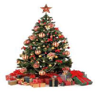 Ready for the oldest Christmas | सर्वांत वृद्ध नाताळसाठी सज्ज Ready for the oldest Christmas | सर्वांत वृद्ध नाताळसाठी सज्ज