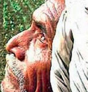 9 23 in the custody of the Registrar of Saraf | ९२३ सराफांचे अभिलेखे निबंधकांच्या ताब्यात