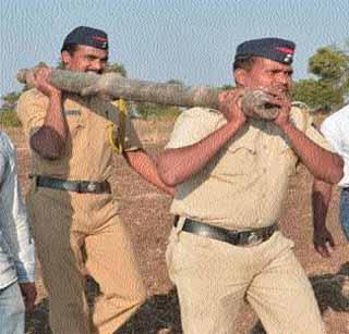 Theft was also taught colorful | चोरीची रंगीत तालीमही केली होती Theft was also taught colorful | चोरीची रंगीत तालीमही केली होती
