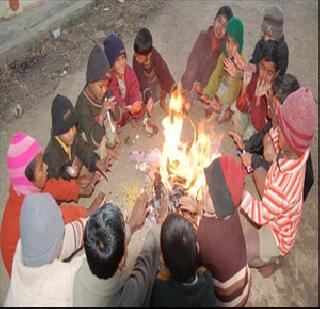 Three more in cold weather in north India | उत्तर भारतात थंडीचे आणखी तीन बळी