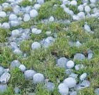 Hailstorm in the state! | राज्यात गारपीटीची शक्यता ! Hailstorm in the state! | राज्यात गारपीटीची शक्यता !