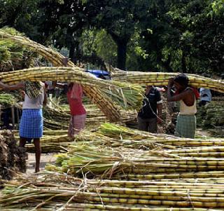 Criminal cases filed against sugar factories for sugarcane farmers | ऊसाला कमी दर देणा-या साखर कारखान्यांविरोधात फौजदारी गुन्हे दाखल