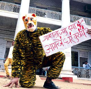 Call of animal rights: 'Leopard' in the Collectorate | प्राणिमित्राची हाक : जिल्हाधिकारी कार्यालयात ‘बिबट्या’