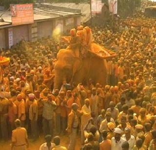 Elephants stagger! | हत्ती बिथरताच पळापळ !