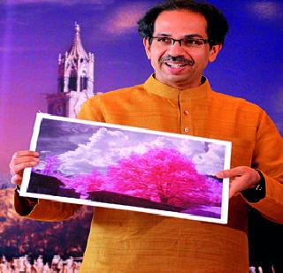 Commenting on Uddhav's government | उद्धव यांची सरकारवर टीका Commenting on Uddhav's government | उद्धव यांची सरकारवर टीका