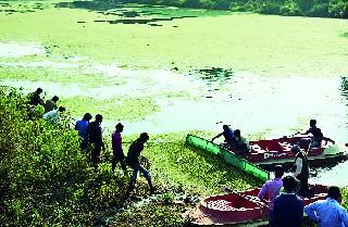 Councilor's initiative for Panveli-Godavari | पाणवेलीमुक्त गोदावरीसाठी नगरसेवकाचा पुढाकार Councilor's initiative for Panveli-Godavari | पाणवेलीमुक्त गोदावरीसाठी नगरसेवकाचा पुढाकार