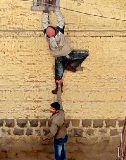 The duck stuck in the net. | जाळीत अडकलेलं कबुतर वाचलं.. The duck stuck in the net. | जाळीत अडकलेलं कबुतर वाचलं..