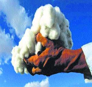 Cotton, soya bean prices falling! | कापूस, सोयाबीन दरात घसरण! Cotton, soya bean prices falling! | कापूस, सोयाबीन दरात घसरण!