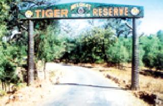 The 21 villages of Melghat stopped due to rehabilitation funds | मेळघाटातील २१ गावांचे पुनर्वसन निधीअभावी रखडले The 21 villages of Melghat stopped due to rehabilitation funds | मेळघाटातील २१ गावांचे पुनर्वसन निधीअभावी रखडले