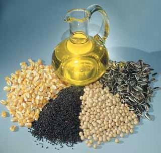 The oilseeds campaign implemented in place of pulses development | कडधान्य विकासाऐवजी राबविले जाणार तेलबिया अभियान