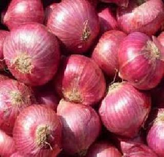 Pune re-emergence of onions | पुण्यात कांद्याची पुन्हा विक्रमी आवक