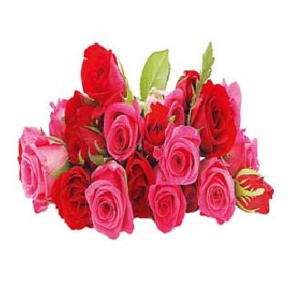 We will love (if possible) love! | आम्ही (जमल्यास) प्रेमानं वागू! We will love (if possible) love! | आम्ही (जमल्यास) प्रेमानं वागू!