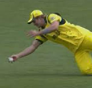 Easily beat Australia in UAE | आॅस्ट्रेलियाची यूएईवर सहज मात Easily beat Australia in UAE | आॅस्ट्रेलियाची यूएईवर सहज मात