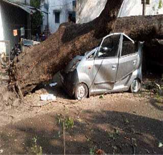 Stormy rain in Akola district | अकोला जिल्ह्यात वादळी पावसाचे थैमान Stormy rain in Akola district | अकोला जिल्ह्यात वादळी पावसाचे थैमान