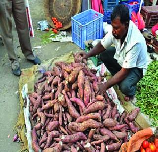 Soya did the livelihood | रताळ्यांनी केला उदरनिर्वाह Soya did the livelihood | रताळ्यांनी केला उदरनिर्वाह