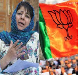 PDP gives BJP eleven-point resolution | पीडीपीने दिला भाजपला अकरा कलमी प्रस्ताव PDP gives BJP eleven-point resolution | पीडीपीने दिला भाजपला अकरा कलमी प्रस्ताव