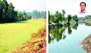 The appearance of the green godavari was changed | हिरव्या गोदापात्राचे रूप बदलले