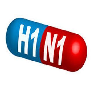 Free the way for the swine flu medicines | स्वाइन फ्लूवरील औषधे मिळण्याचा मार्ग मोकळा Free the way for the swine flu medicines | स्वाइन फ्लूवरील औषधे मिळण्याचा मार्ग मोकळा