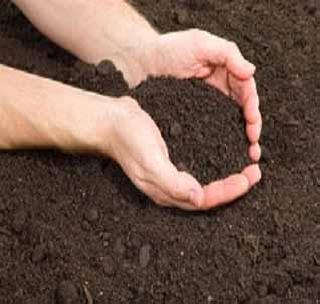 Depression among farmers about soil testing | माती परिक्षणाबाबत शेतक-यांमध्ये उदासीनता Depression among farmers about soil testing | माती परिक्षणाबाबत शेतक-यांमध्ये उदासीनता
