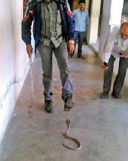 When the 'Cobra' leaves the examination center ... | परीक्षा केंद्रातच ‘कोब्रा’ निघतो तेव्हा...