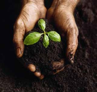 Message from farmers to live soil now internationally | शेतक-यांचा माती जगविण्याचा संदेश आता आंतरराष्ट्रीय स्तरावर Message from farmers to live soil now internationally | शेतक-यांचा माती जगविण्याचा संदेश आता आंतरराष्ट्रीय स्तरावर