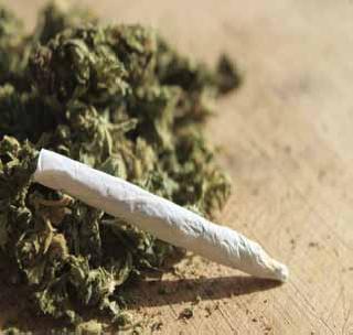 The ganja found near prison inmate | कारागृहातील कैद्याजवळ सापडला गांजा The ganja found near prison inmate | कारागृहातील कैद्याजवळ सापडला गांजा