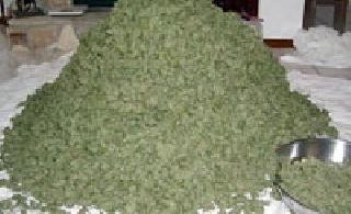 The trade of Ganja in Vidarbha runs through Chandrapur | चंद्रपुरातून चालतो विदर्भातील गांजाचा व्यापार The trade of Ganja in Vidarbha runs through Chandrapur | चंद्रपुरातून चालतो विदर्भातील गांजाचा व्यापार
