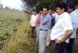 Do the list of damages promptly | नुकसानग्रस्तांची यादी तातडीने करा Do the list of damages promptly | नुकसानग्रस्तांची यादी तातडीने करा