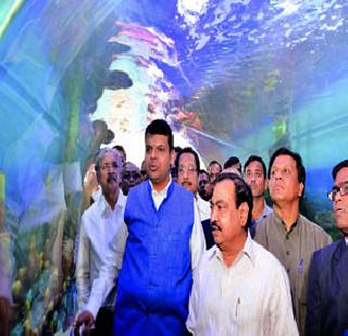 मत्स्यवैभव पुन्हा अनुभवता येणार