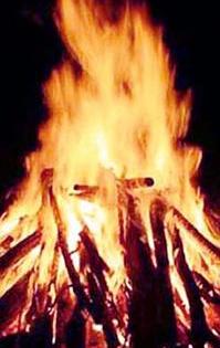 The forest cover of 89 lakhs is ash | ८९ लाखांची वनसंपदा राख The forest cover of 89 lakhs is ash | ८९ लाखांची वनसंपदा राख