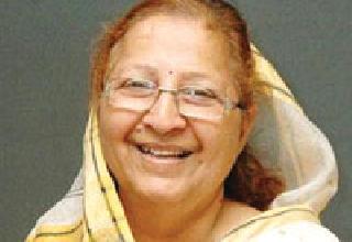 Problems with the Speaker Getting Pilot Car | पायलट कार मिळविताना लोकसभाध्यक्षांना अडचण Problems with the Speaker Getting Pilot Car | पायलट कार मिळविताना लोकसभाध्यक्षांना अडचण