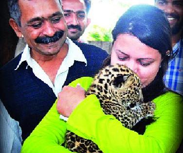 The leopard's cottage got the rightful house | बिबट्याच्या बछड्याला हक्काचे घर मिळाले